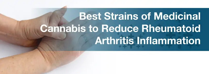 Best Strains of Medicinal Cannabis to Reduce Rheumatoid Arthritis Inflammation