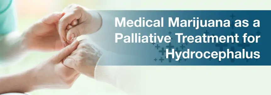 Medical Marijuana as a Palliative Treatment for Hydrocephalus