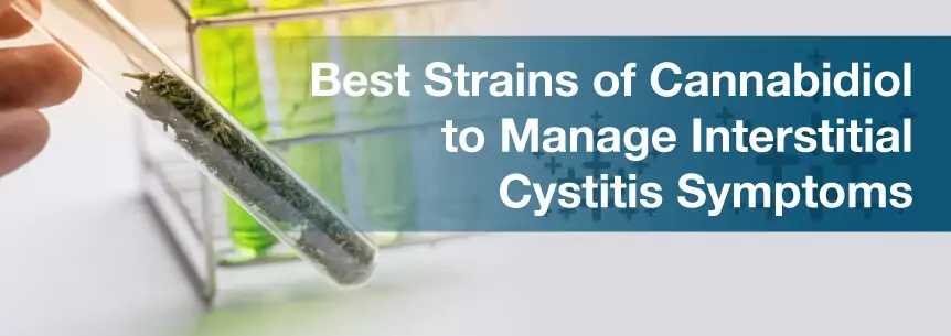 Best Strains of Cannabidiol to Manage Interstitial Cystitis Symptoms