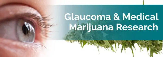 glaucoma research