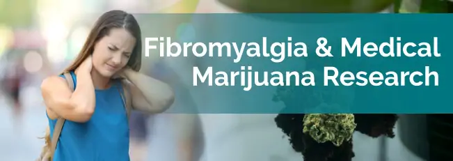 fibromyalgia research