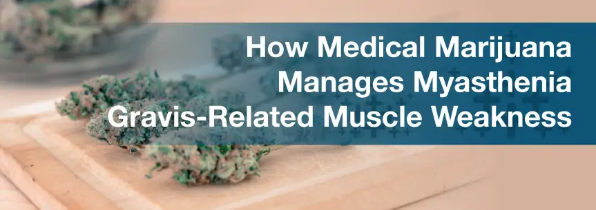 How Medical Marijuana Manages Myasthenia Gravis-Related Muscle Weakness