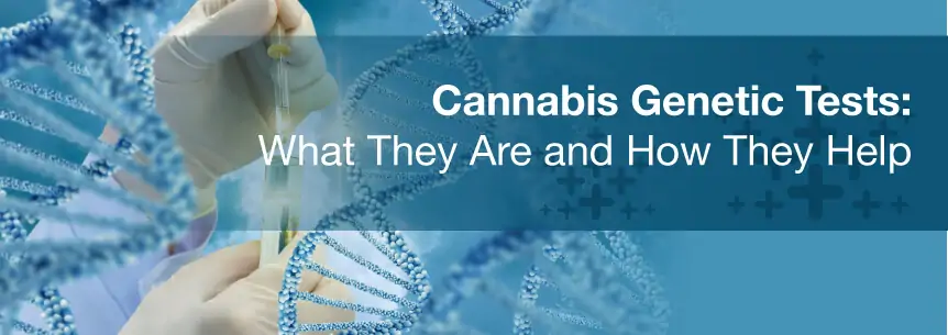cannabis genetic tests