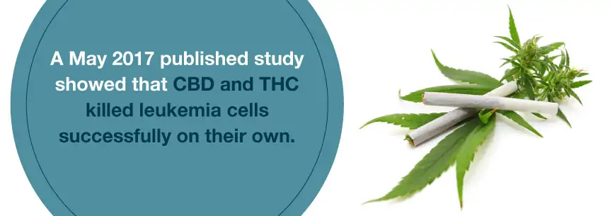 cbd kills leukemia