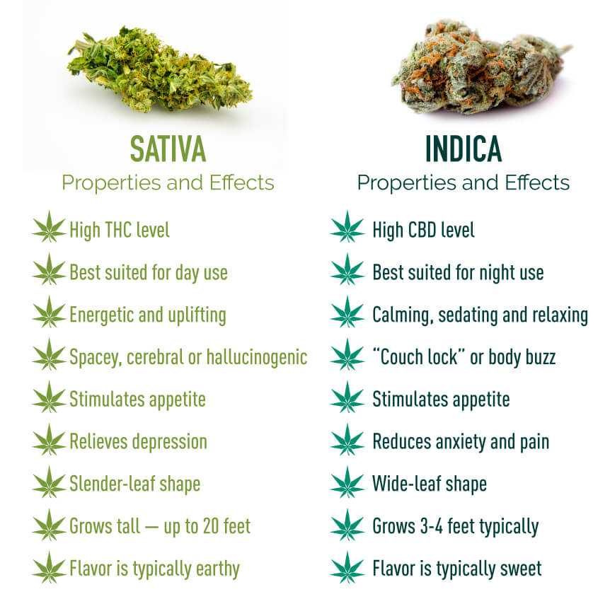 Sativa And Indica Chart