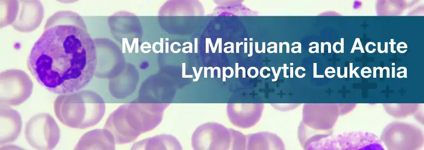 Acute Lymphocytic Leukemia