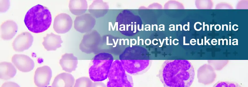 marijuana chronic lymphocytic leukemia