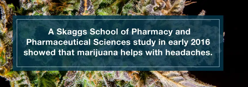 marijuana headache study