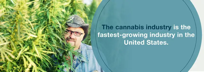 marijuana industry growth
