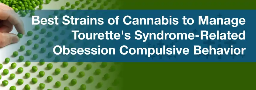 Best Strains of Cannabis to Manage Tourette's Syndrome-Related Obsession Compulsive Behavior