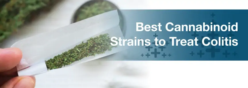 Best Cannabinoid Strains to Treat Colitis