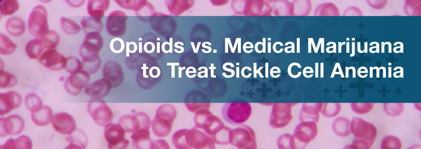 Opioids vs. Medical Marijuana to Treat Sickle Cell Anemia