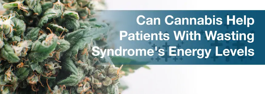 Can Cannabis Help Patients With Wasting Syndrome's Energy Levels?