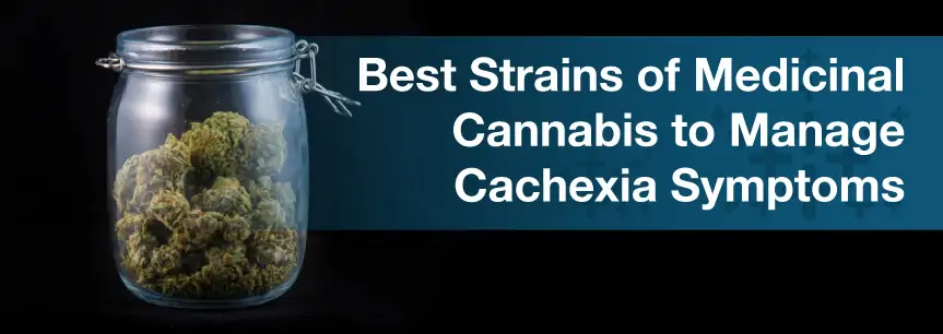Best Strains of Medicinal Cannabis to Manage Cachexia Symptoms