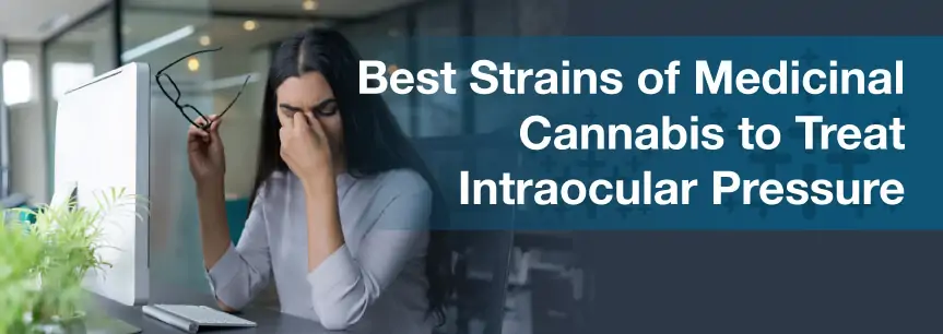 Best Strains of Medicinal Cannabis to Treat Intraocular Pressure