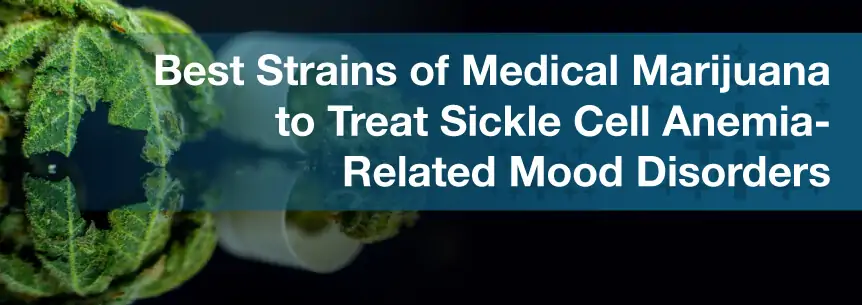 Best Strains of Medical Marijuana to Treat Sickle Cell Anemia-Related Mood Disorders