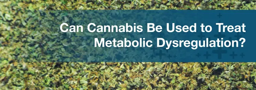 Can Cannabis Be Used to Treat Metabolic Dysregulation?