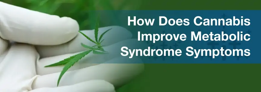 How Does Cannabis Improve Metabolic Syndrome Symptoms?