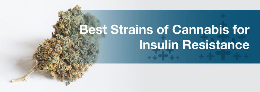 Best Strains of Cannabis for Insulin Resistance