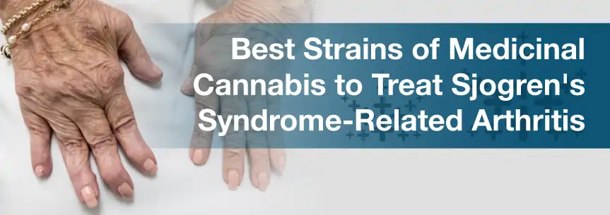 Best Strains of Medicinal Cannabis to Treat Sjogren's Syndrome-Related Arthritis