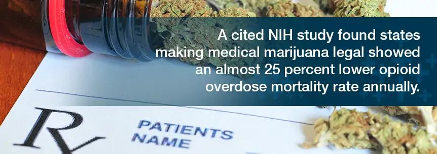 marijuana and opioid overdose