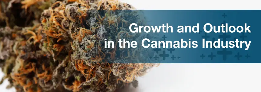 Growth and Outlook in the Cannabis Industry