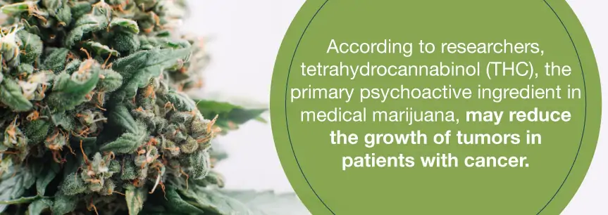 thc for tumors