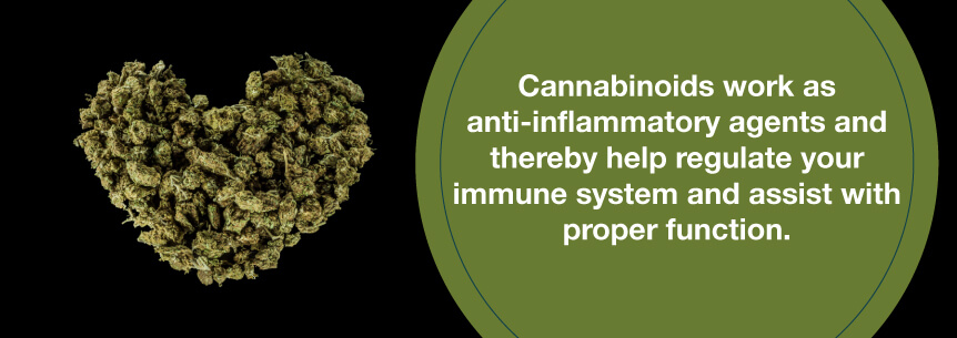 anti inflammatory