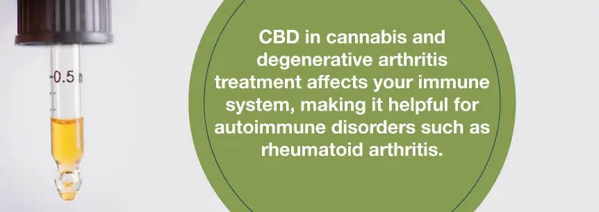 arthritis cbd oil