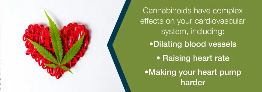 cannabinoids and the heart