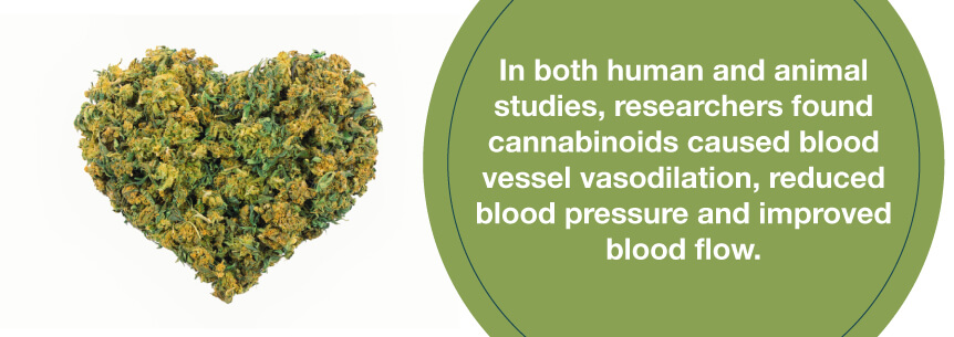 cannabis helps blood flow