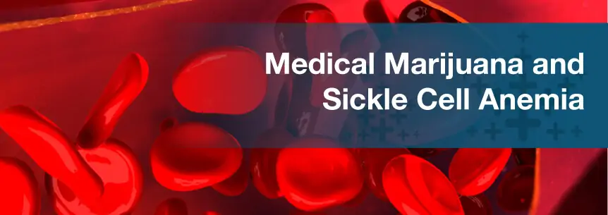 marijuana and sickle cell anemia