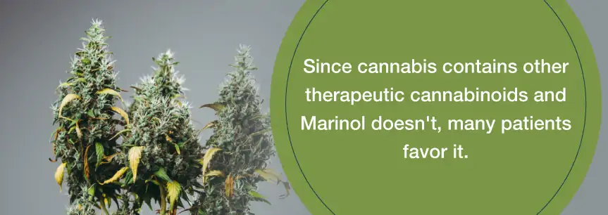 patients prefer cannabis