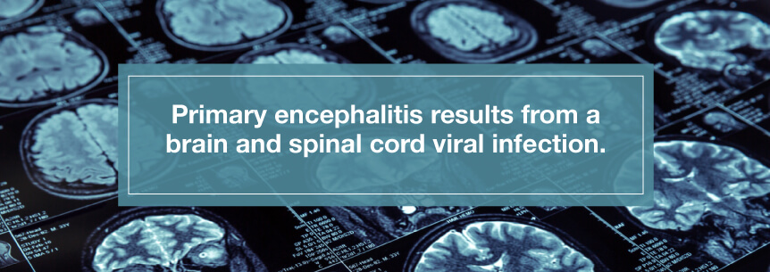 brain and spine infection