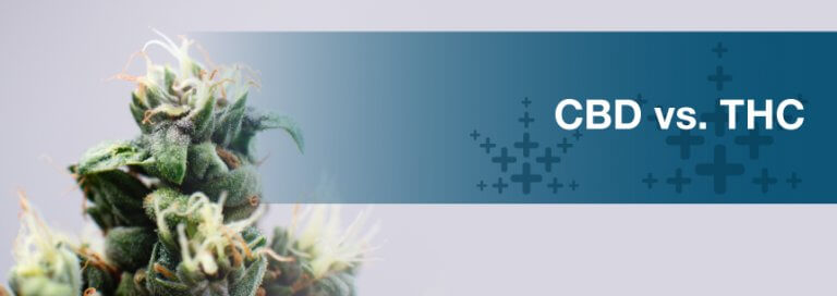 CBD vs. THC