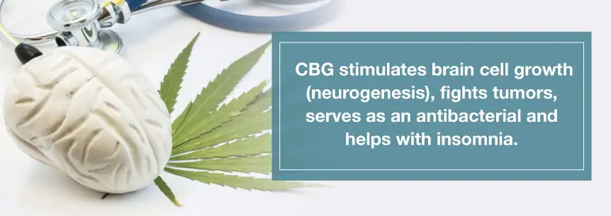 cbg benefits