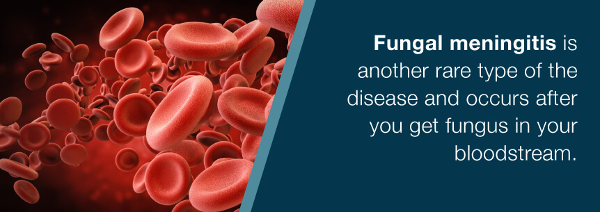 fungal meningitis