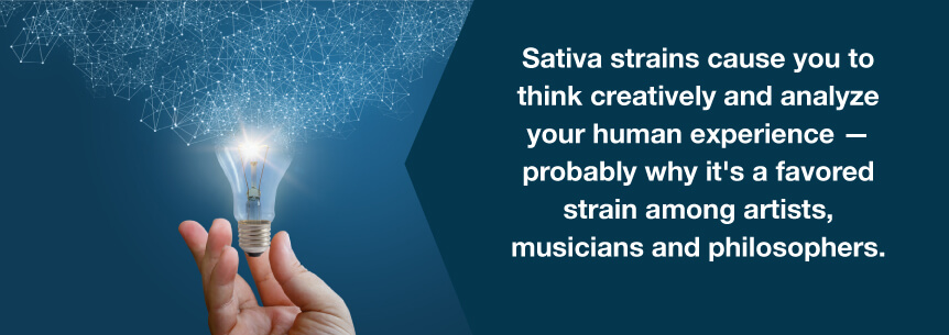 sativa and creativity