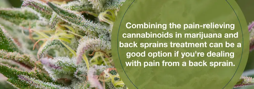 cannabis treatment