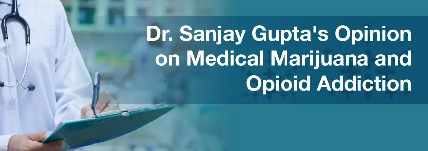 dr gupta marijuana