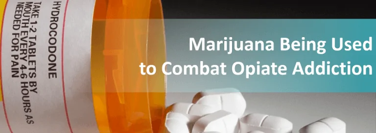 Marijuana Being Used to Combat Opiate Addiction