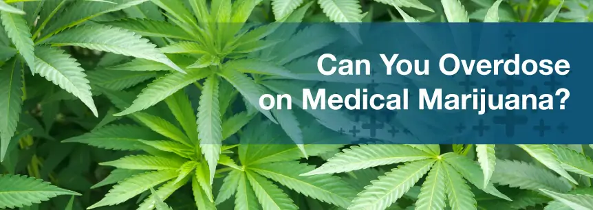 Can You Overdose on Medical Marijuana?