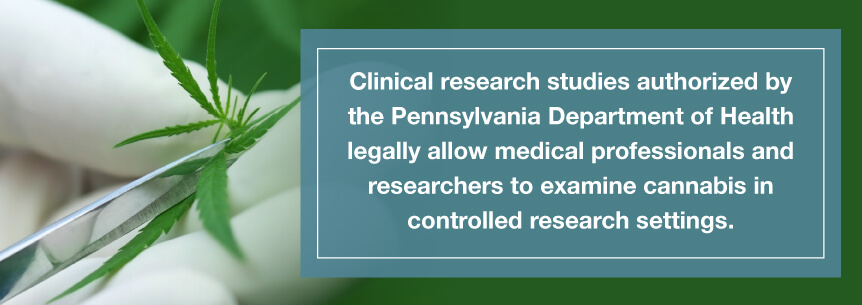 pa marijuana studies