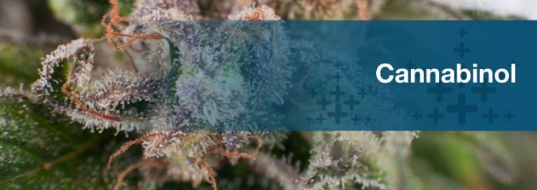 Cannabinol (CBN)