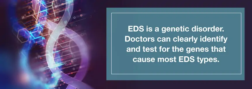what is eds