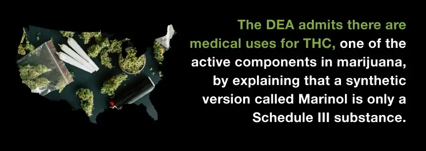 dea admits use of thc