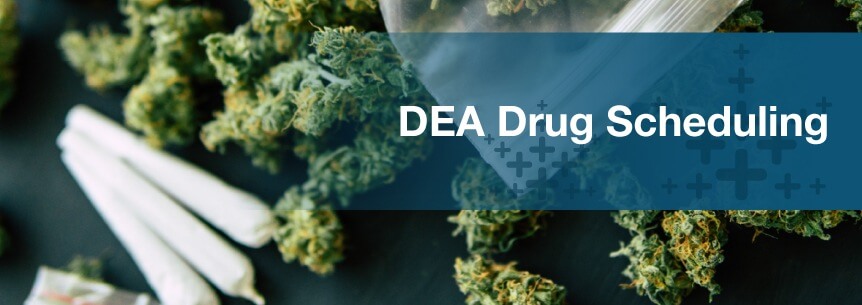 dea drug scheduling