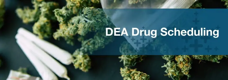 dea drug scheduling