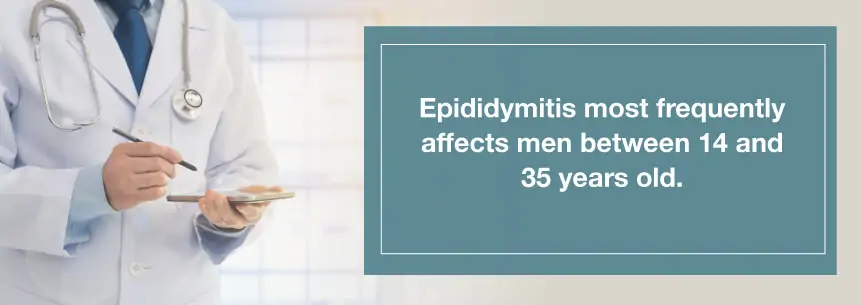 epididymitis stats