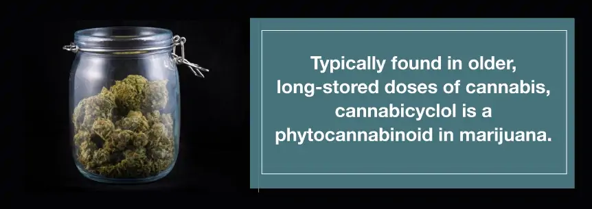 longer stored cannabis